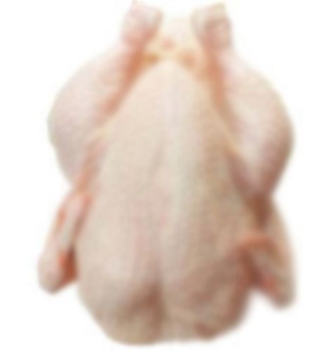 Whole Chicken - 800 to 2200 Grams | Well Dressed, Cleaned, No Bruise, No Blood, Moisture Less than 5%