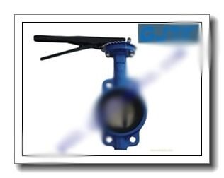 Alloy Double Flanged Butterfly Valves