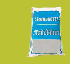 Azotobacter Biofertilizer