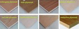 Termite Proof Plywood