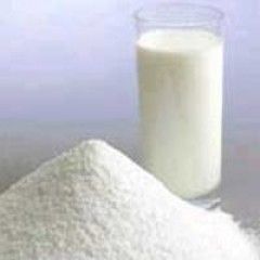 Milk Powder