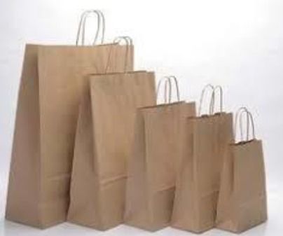 Plain Paper Bags