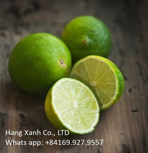 Fresh Seedless Limes By HX International Co., Ltd
