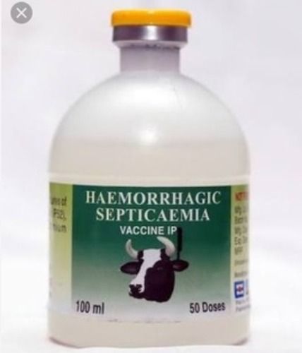 Hemorrhagic Septicemia (Hs) Vaccines Recommended For: Cattle