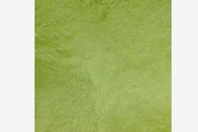 organic moringa powder