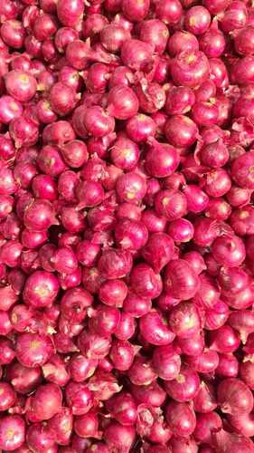 Red Onion