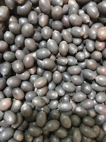 High Grade Black Lotus Seeds