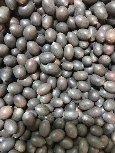 Sorted And Cleaned Black Lotus Seeds With 10% Maximum Moisture Admixture (%): 0.01 % Max
