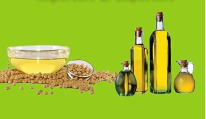 Soyabean Oil By Bronze Wing Trading L.L,C