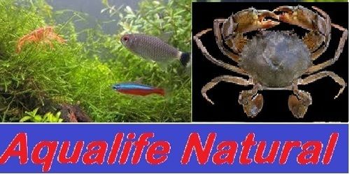 Aqualife Natural Nutritional Crab