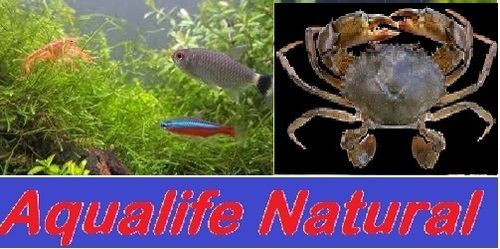 Aqualife Natural Nutritional Crab Shelf Life: 12 Months