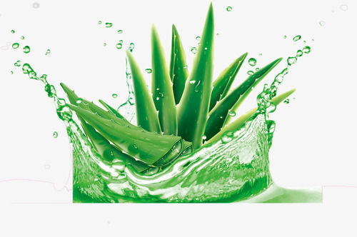 Dry Aloe Vera - Premium Quality Dried Herbal Extract | Versatile Packaging Options, Herbal Wellness Benefits