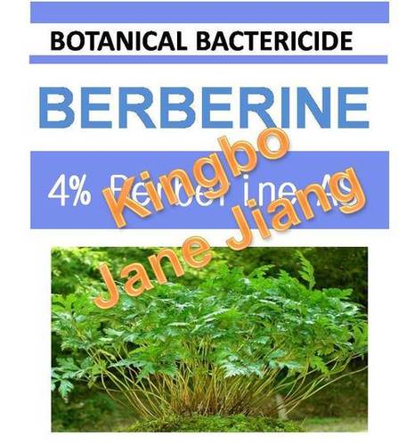 4% बर्बेरिन एएस बोटैनिकल बैक्टीरिसाइड 