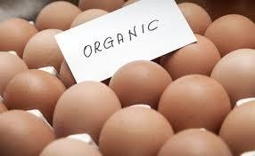 Organic Eggs