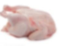 Whole Chicken Meat