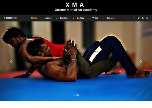 Development Service - Customizable CMS, Engaging Design for Mixed Martial Arts Training Facilities