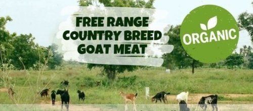 Goat Meat - Premium Quality Cut, Rich Nutritional Value and Flavorful Taste