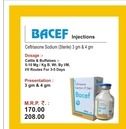 Bacef 3 gm Injection