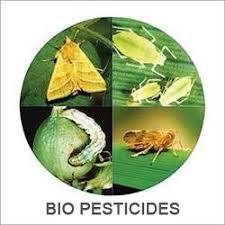 Bio Pesticide For Pest Control In Agricultural