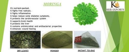 Moringa Leaves And Powder