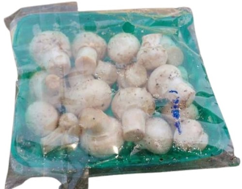 Pvc Rigid Mushroom Tray