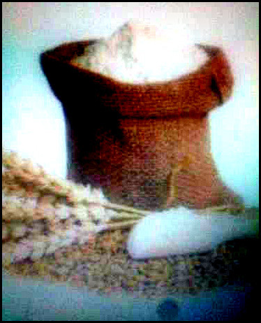 प्योर एंड हेल्दी अटा