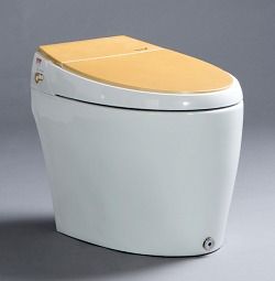 White Water Tank Free Intelligent Toilet G66