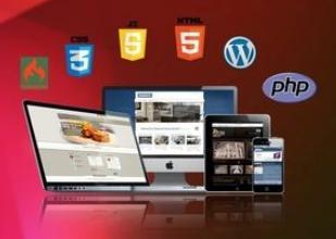 Dynamic Designing Services - Customized Web Solutions Tailored Client Interaction and Expertise