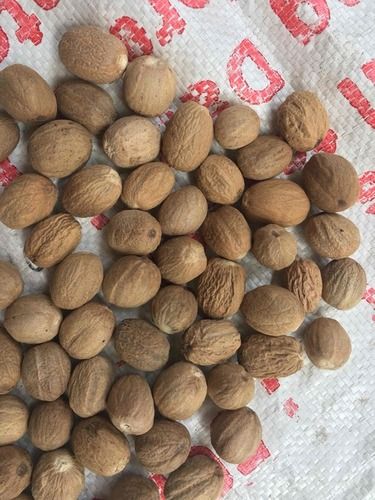 Natural Species Nutmeg (Jayfal)