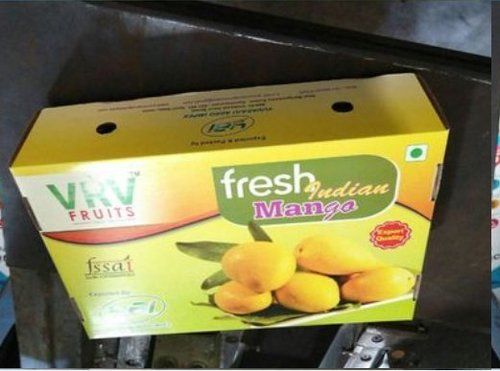 Fresh Indian Mango Cartons Box