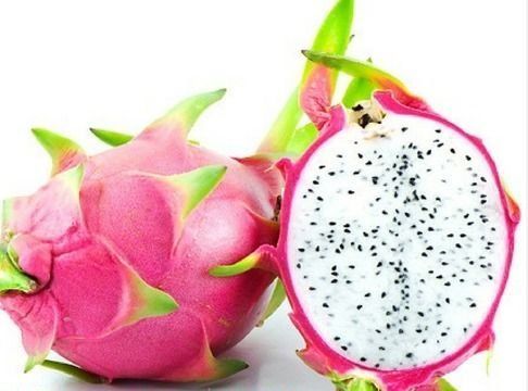 100% Fresh Dragon Fruit - Red/White Flesh Dragon Fruit