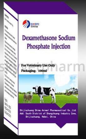 Dexamethasone Sodium Phosphate Injection - 2mg/ml Concentration | Effective Anti-Inflammatory Solution for Horses, Cattle, Sheep, Dogs, and Cats