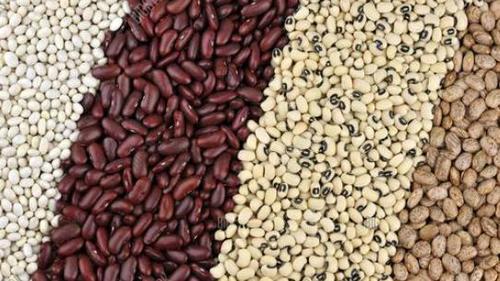 Kidney Beans (White, Red, Black)