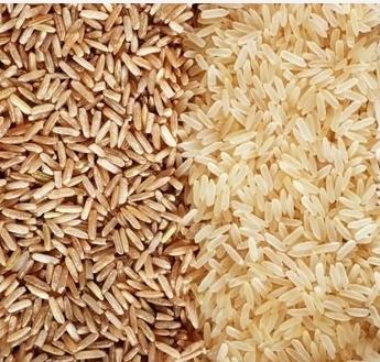 Fresh And Quality Approved Brown Rice