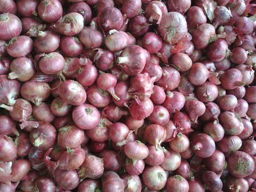 Fresh Pure Red Onion