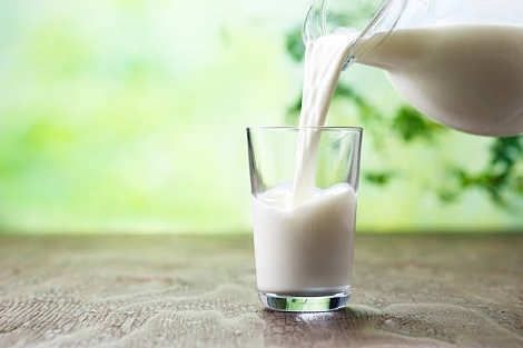 Pure Cow Milk For Good Health