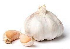 Highly Nutritious Fresh Garlic