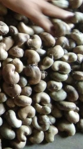 Best Quality Raw Cashew Nut