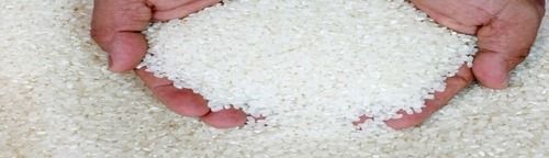 Broken Parboiled Non Basmati Rice