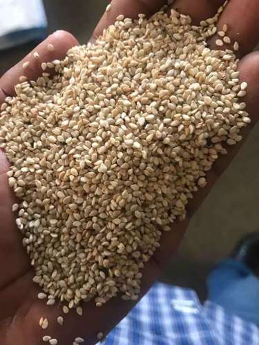 Sesame Seeds