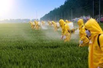 Natural Organic Agricultural Pesticides