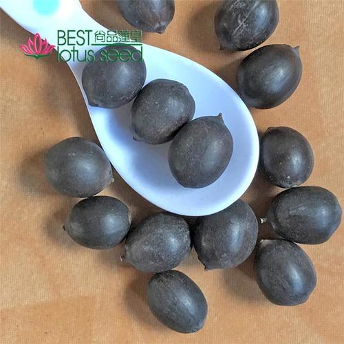 Black Iron Shell Lotus Seed Nut Kernel Lotus Extract