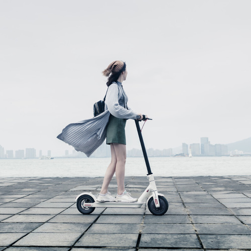 8.5-inch Big Wheel Foldable Scooter