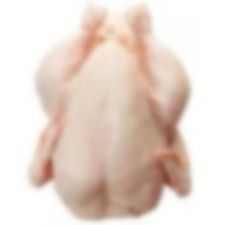 Quality Frozen Chicken 