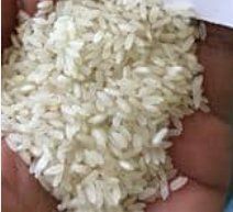 Indian Swarna Raw Rice