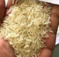 Pr 11 White Sella Rice Crop Year: 2018 Years