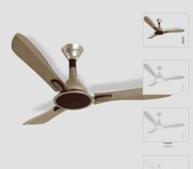 Orient Areta Ceiling Fans