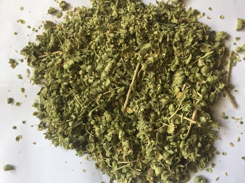 Herbal Oregano Extract