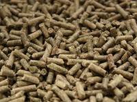 Cattle Feed Pellet