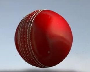 Genuine Red Leather Cricket Balls